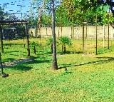 Apartamento Ribeir�o Preto