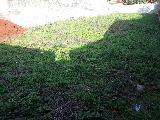 Terreno Ribeir�o Preto
