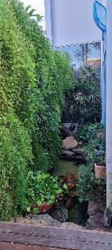 Casa Ribeir�o Preto