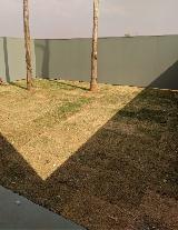 Casa Ribeir�o Preto